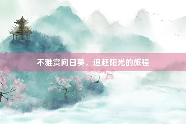 不雅赏向日葵，追赶阳光的旅程