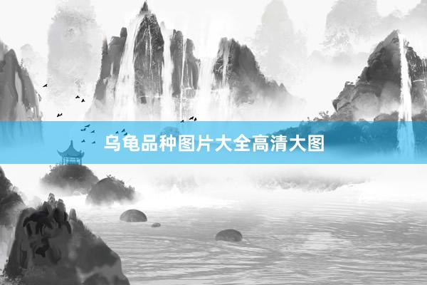 乌龟品种图片大全高清大图